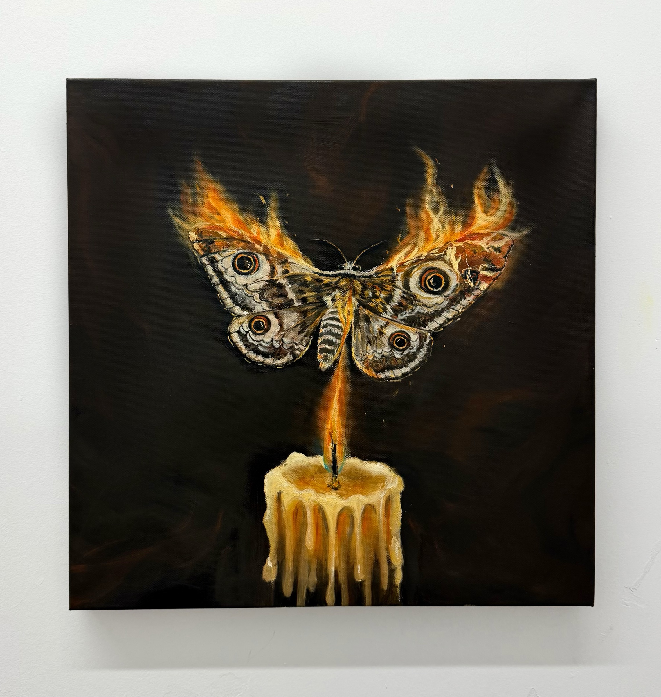 Full view of "Drawn to the Flame" oil on canvas by Annalisa Liu, 2026