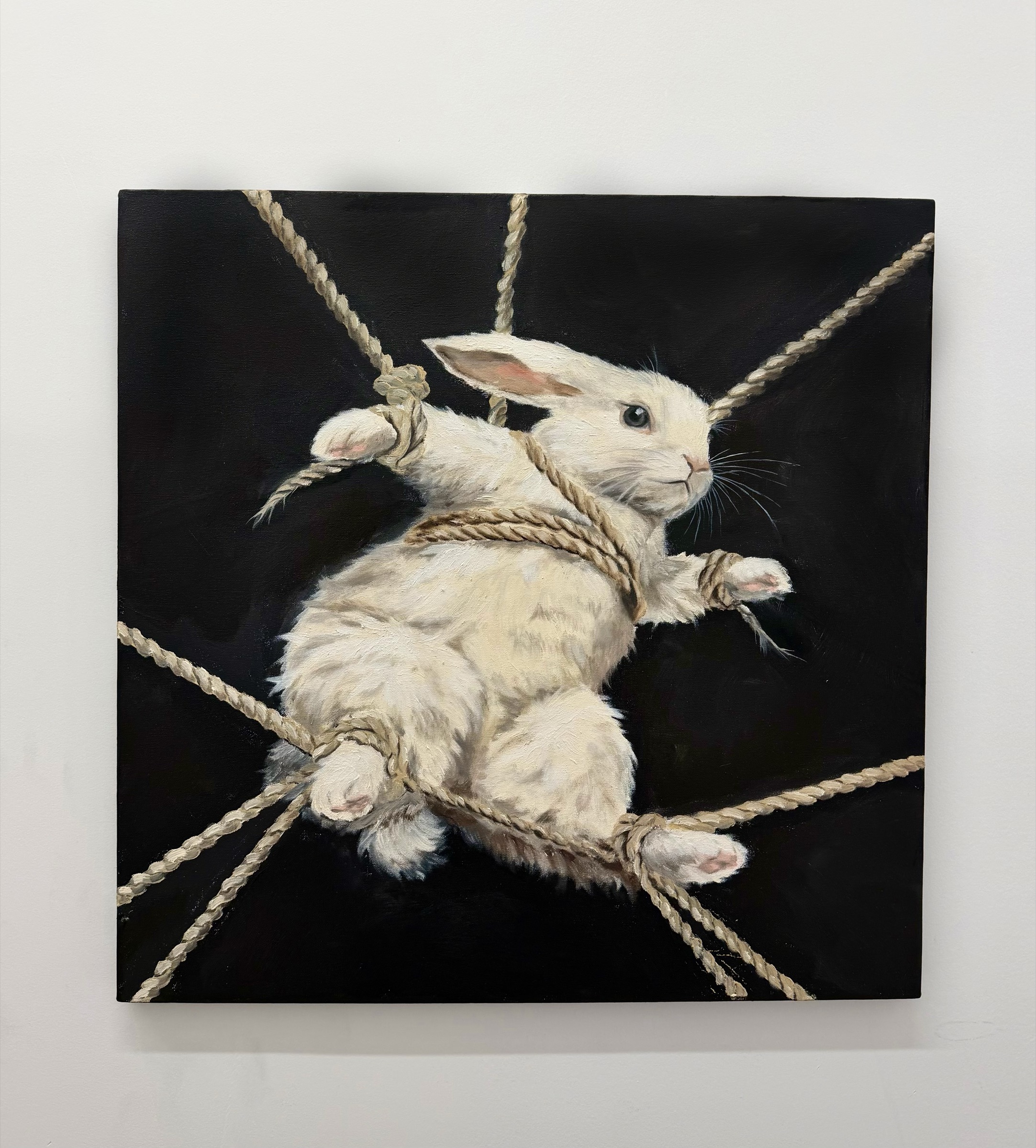 Full view of "In the Beholder's Eye" in studio context, oil on canvas 24 × 24 in, Annalisa Liu